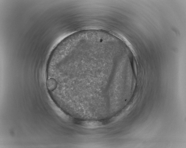 X0000115410795200911241327