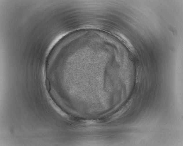 X0000115410796200911241327