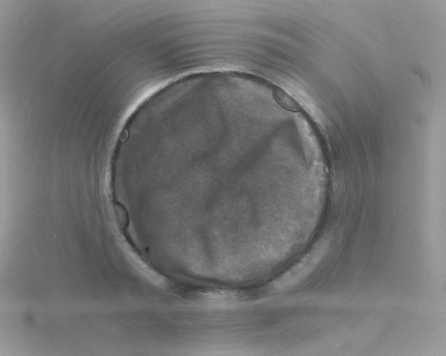 X0000115410797200911241327