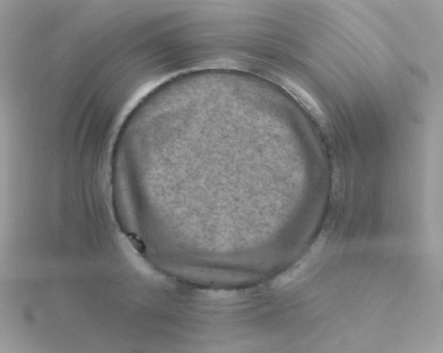 X0000115410800200911241327