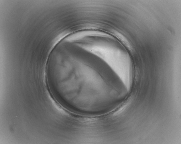 X0000115410802200911241326