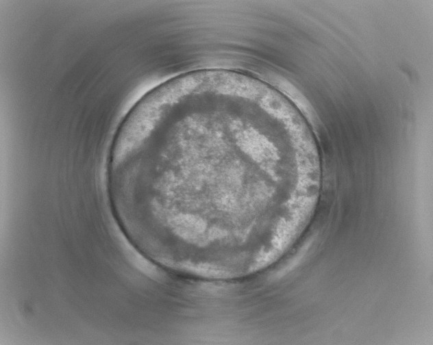 X0000115410803200911241326