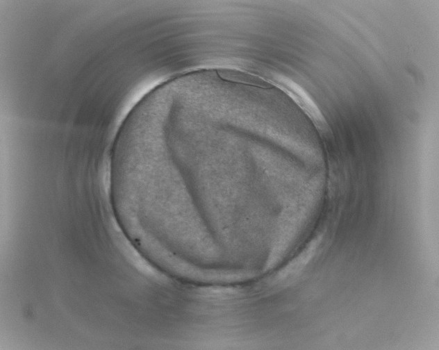 X0000115410804200911241326