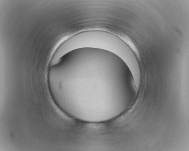 X0000115410805200911241326