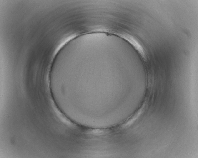 X0000115410806200911241326