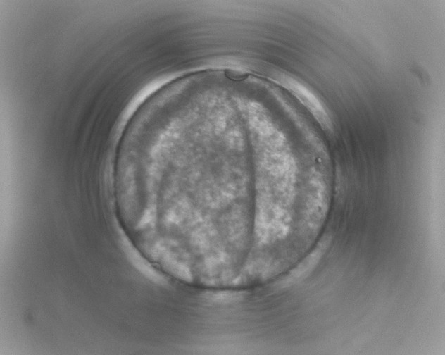 X0000115410808200911241326