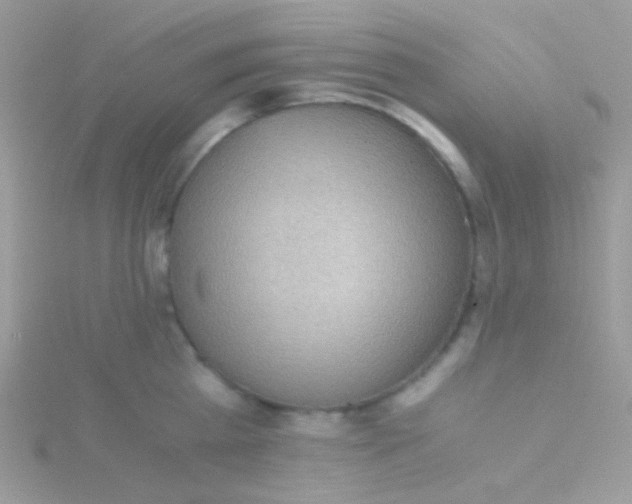 X0000115410809200911241326