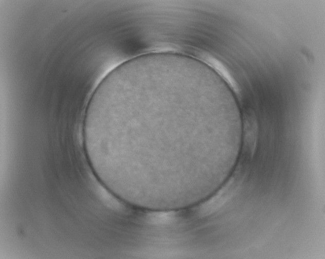 X0000115410810200911241326