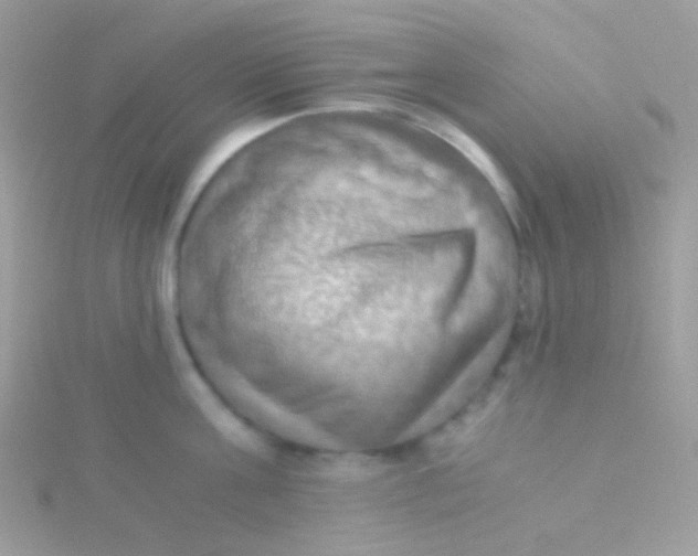 X0000115410811200911241326