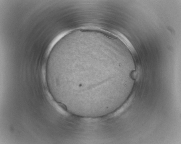 X0000115410812200911241326