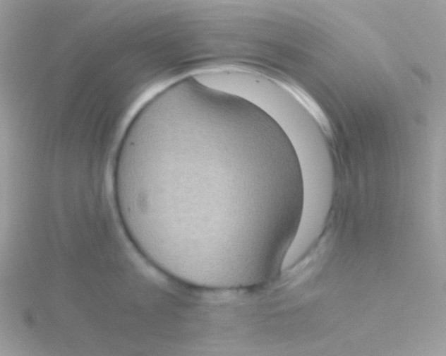 X0000115410813200911241326