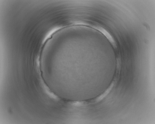 X0000115410814200911241326