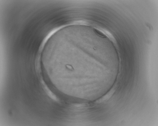 X0000115410816200911241326