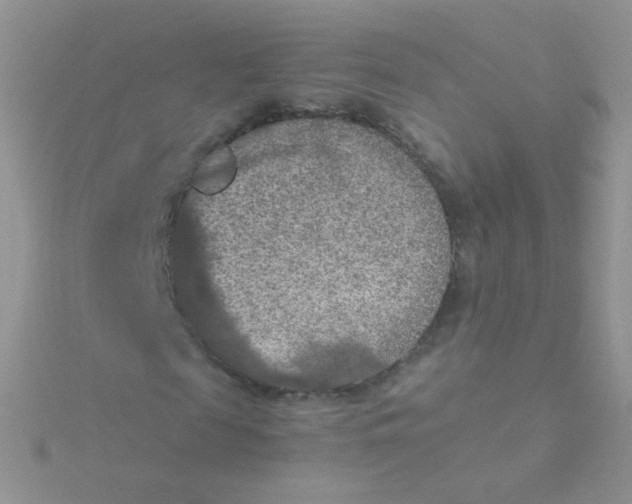 X0000115410817200911241326