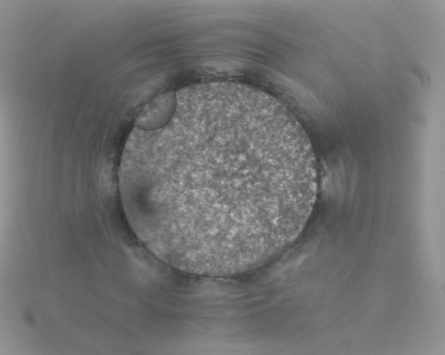 X0000115410819200911241326