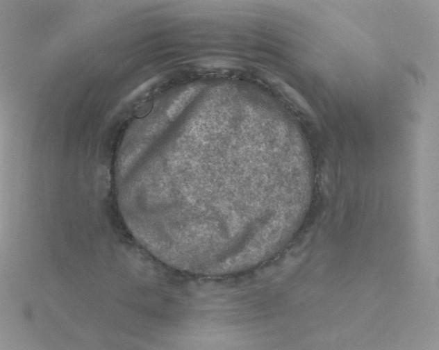 X0000115410821200911241326