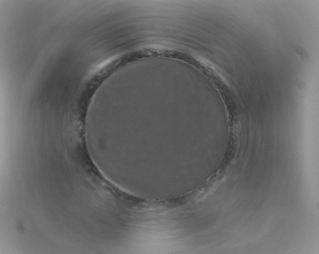 X0000115410822200911241326