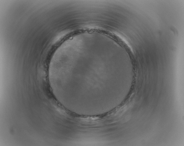 X0000115410823200911241326