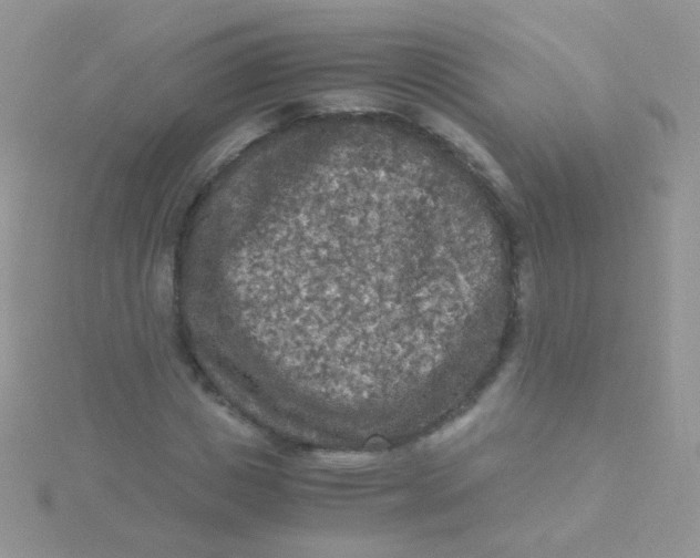 X0000115410825200911241326