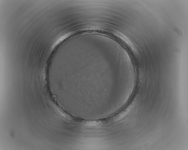 X0000115410826200911241326