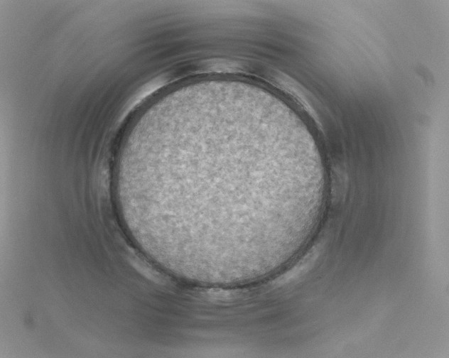 X0000115410827200911241326