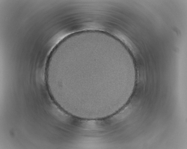 X0000115410828200911241326