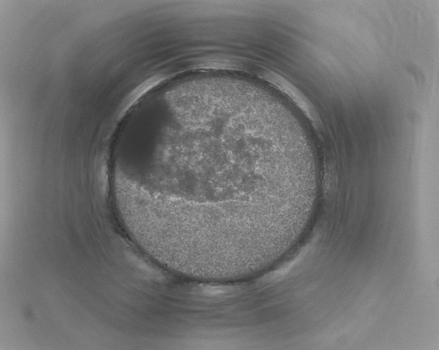 X0000115410829200911241326