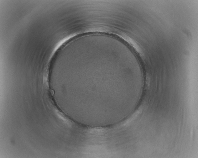 X0000115410830200911241326