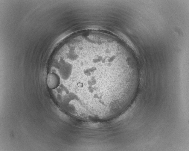 X0000115410831200911241326