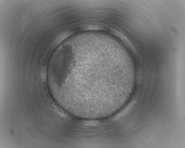 X0000115410833200911241326