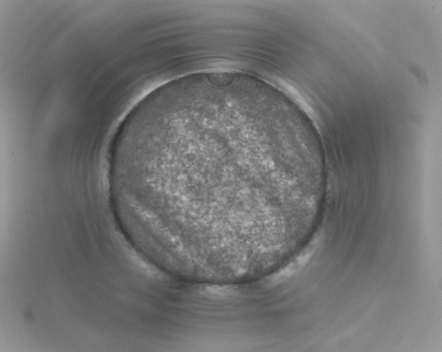 X0000115410835200911241326