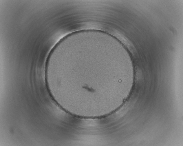 X0000115410836200911241326