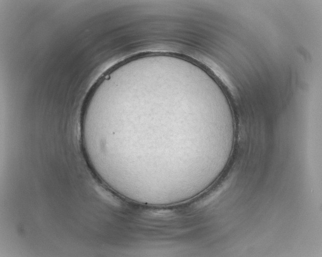 X0000115410837200911241326