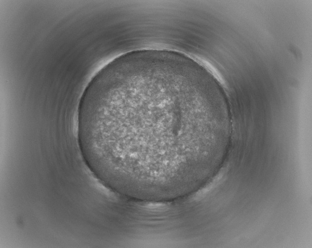 X0000115410839200911241326