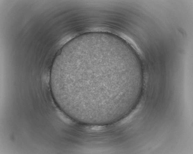 X0000115410841200911241326