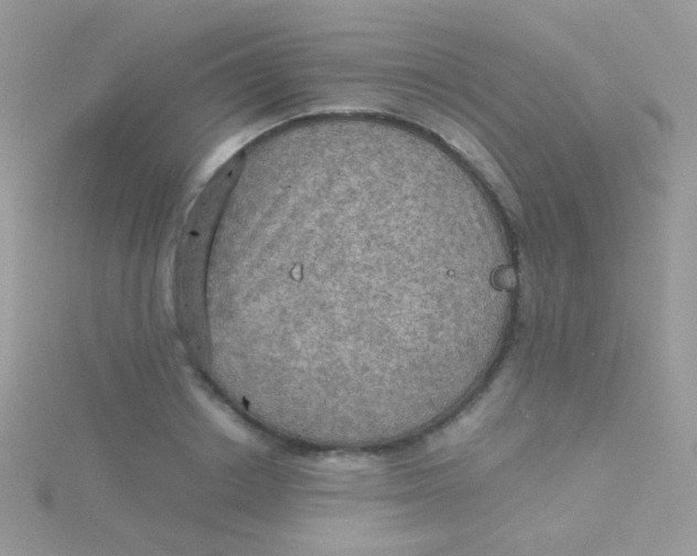 X0000115410842200911241326