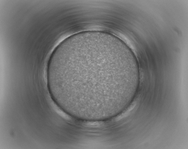 X0000115410843200911241326