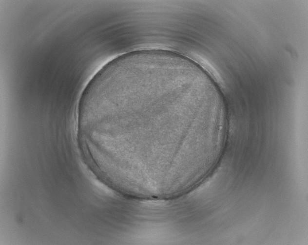 X0000115410844200911241326