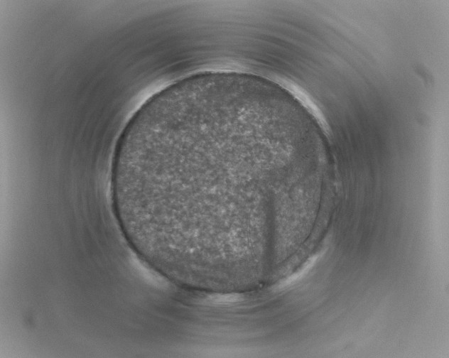 X0000115410845200911241326