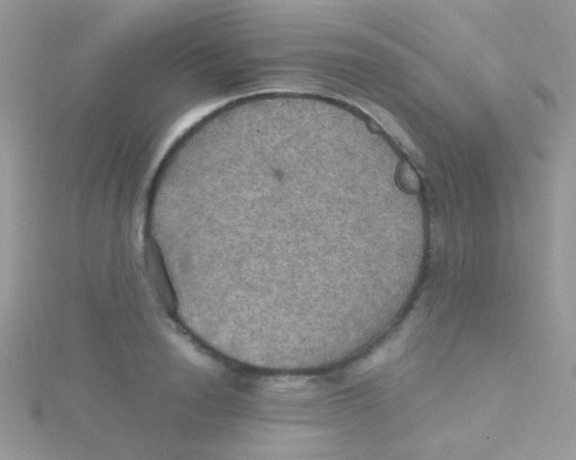 X0000115410846200911241326