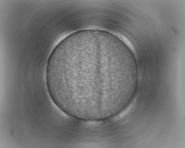 X0000115410847200911241326