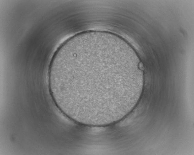 X0000115410848200911241326