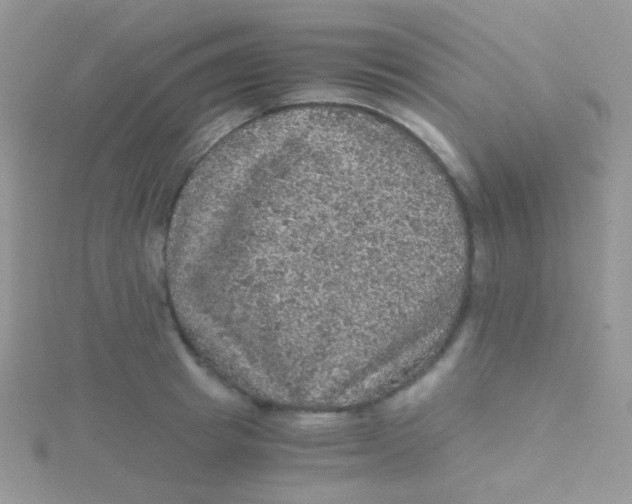 X0000115410849200911241326