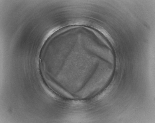 X0000115410850200911241326