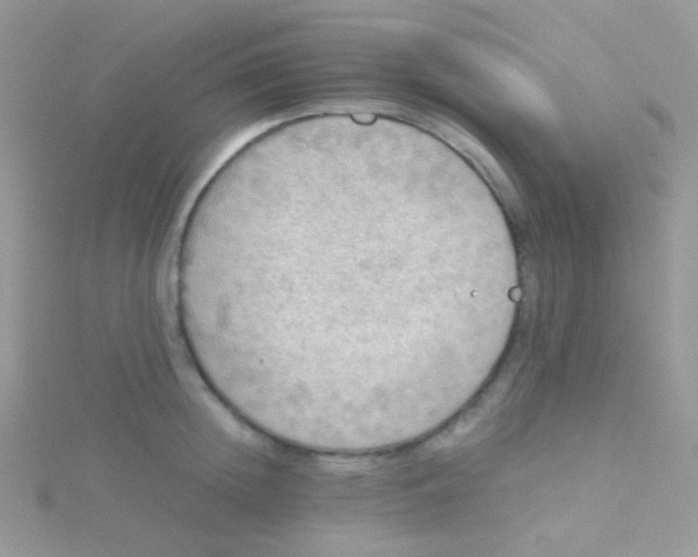 X0000115410852200911241326