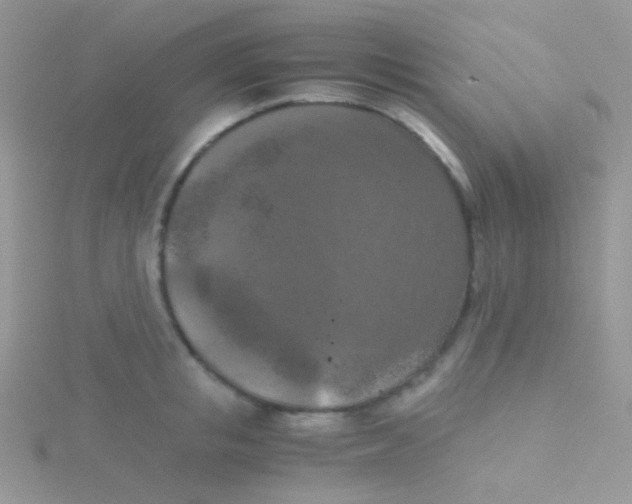 X0000115410853200911241326