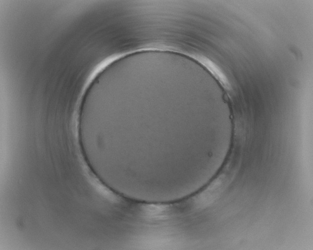 X0000115410854200911241326