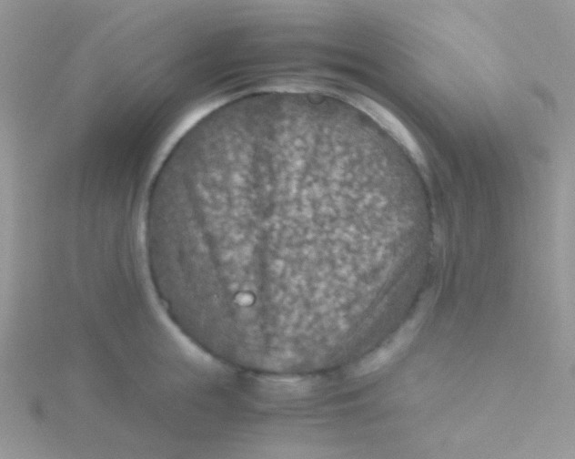 X0000115410855200911241326