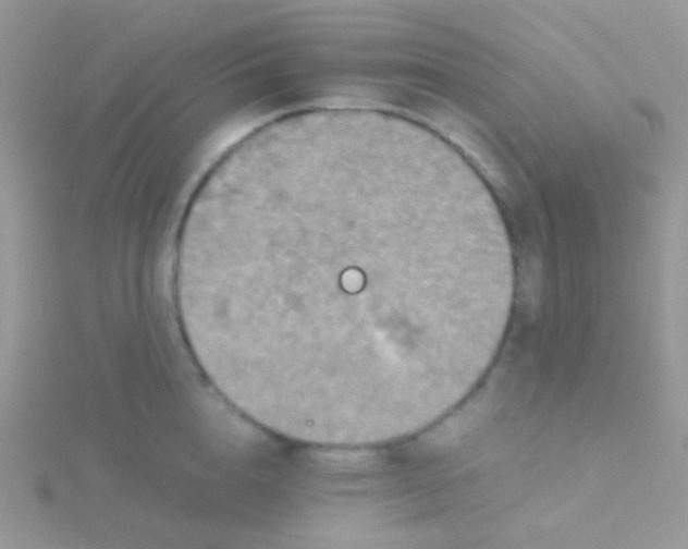 X0000115410856200911241326