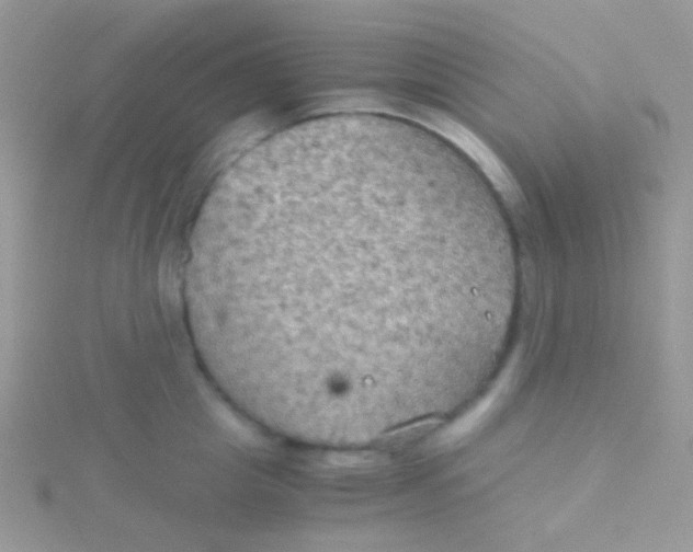 X0000115410857200911241326